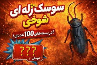 اسباببازی سوسک و هزار پا ژله ای شوخی دانه ای 9,500 تومان در بسته های 100 عددی